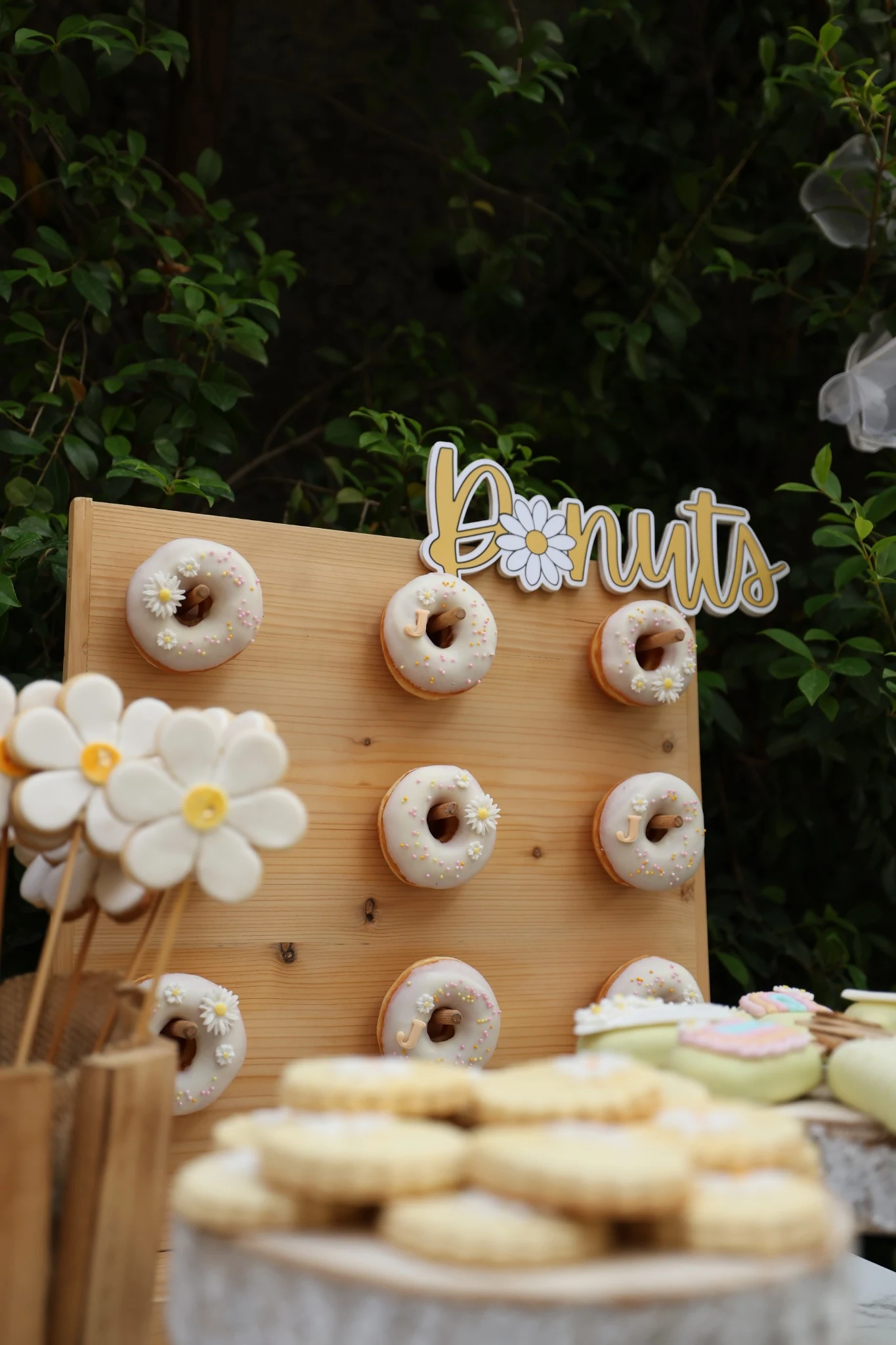 Jamie Turns 2 — photographie du projet 4